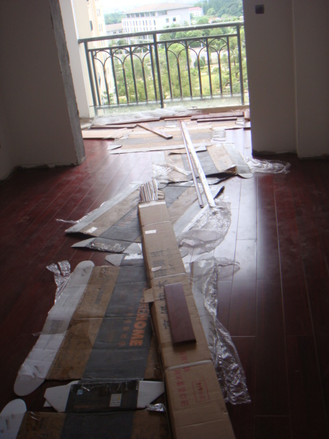 DSC02459.JPG