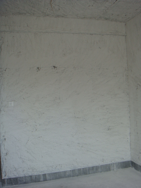 DSC03267.JPG