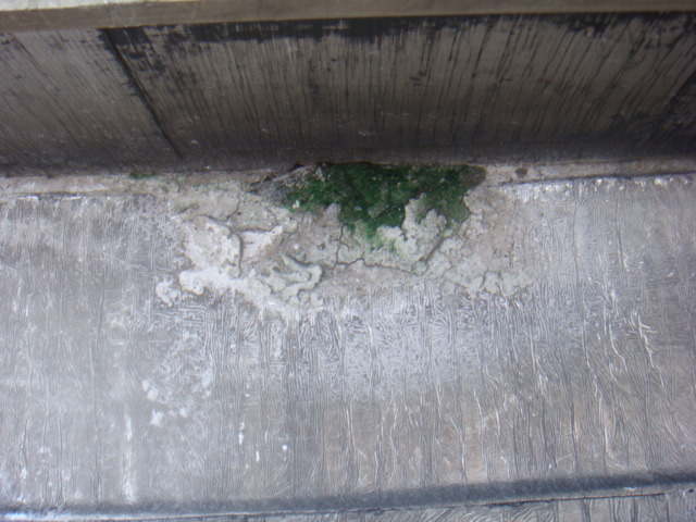 DSC03857.JPG