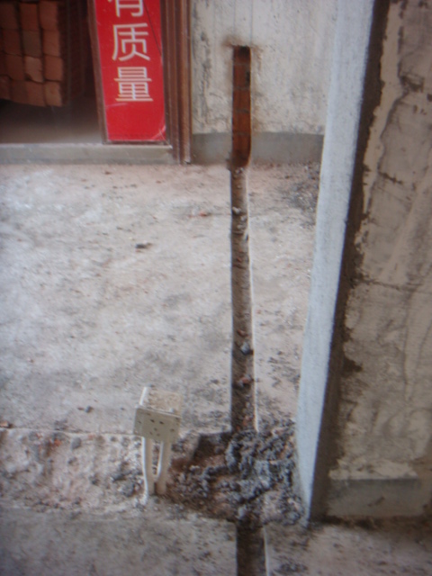 DSC04315.JPG