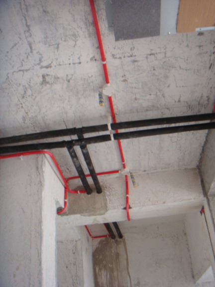DSC05005.JPG