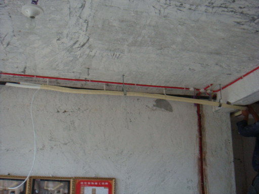 DSC06137.JPG