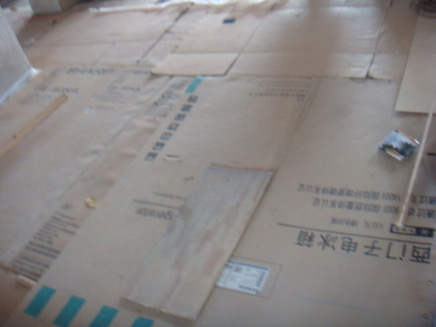 DSC06813.JPG