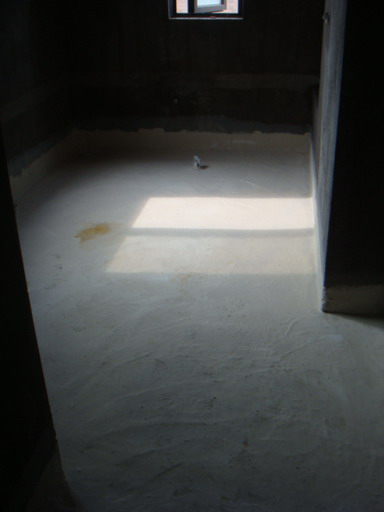 DSC07020.JPG