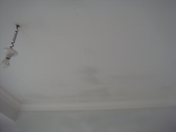 DSC08180.JPG
