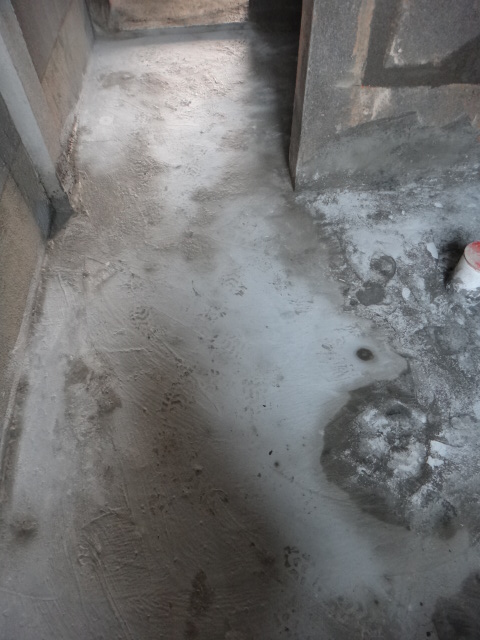 DSC05659.JPG