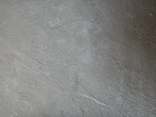 DSC01644.JPG