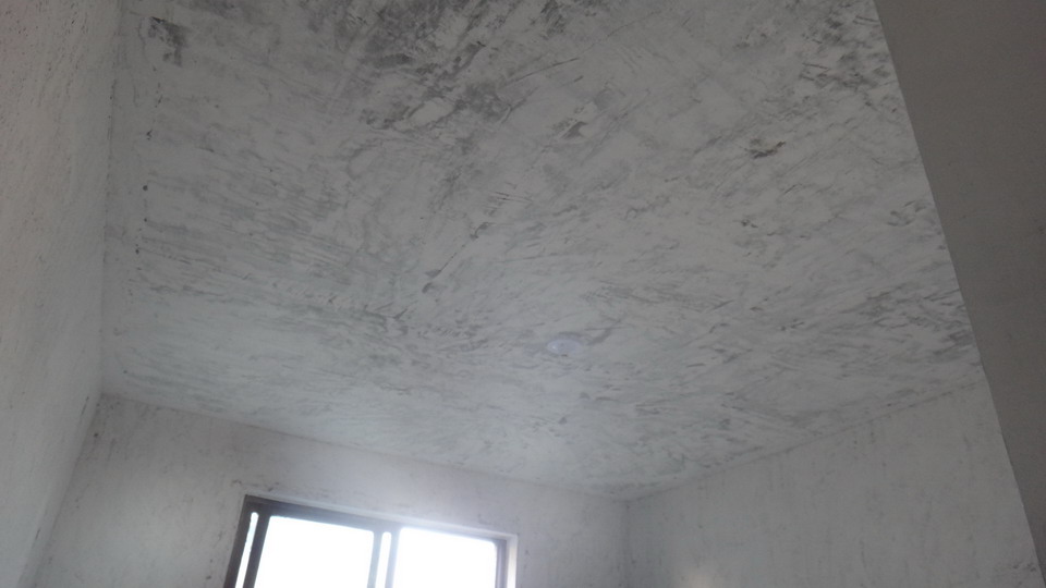 DSC09116.JPG