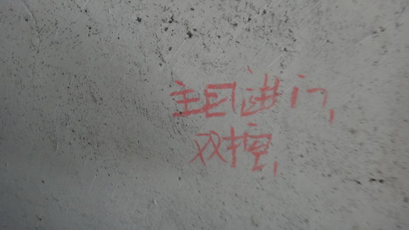 DSC09909.JPG