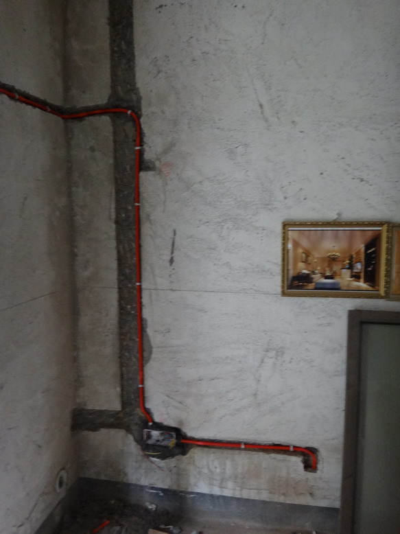 DSC03509.JPG