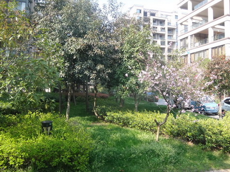 DSC05740.JPG