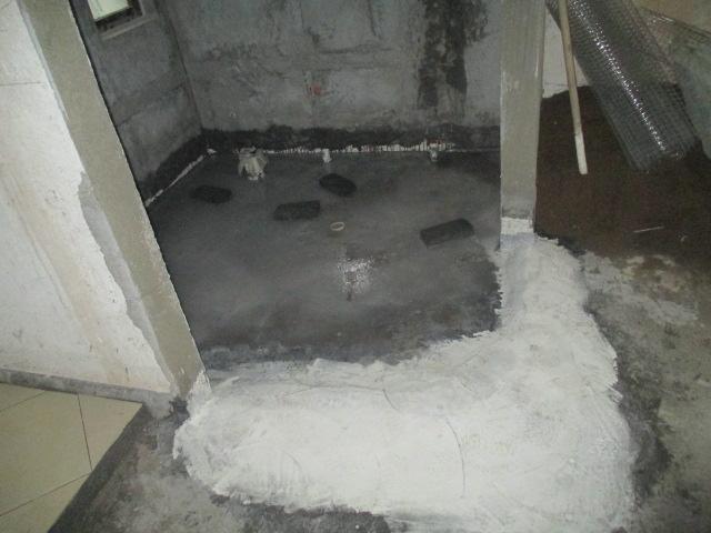 IMG_1872.JPG