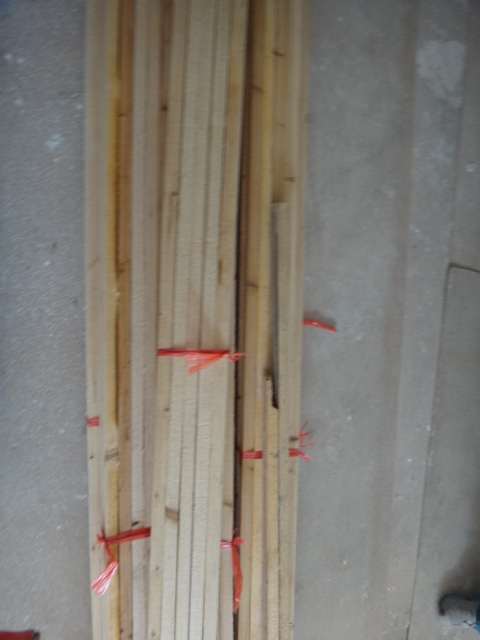 DSC08020.JPG