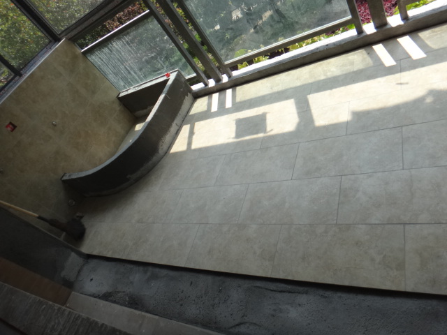 DSC08025.JPG