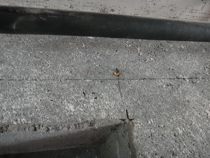 DSC02376.JPG
