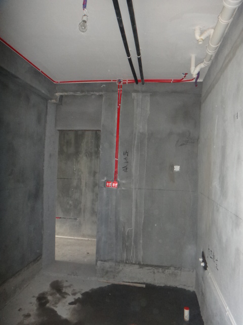 DSC08479.JPG