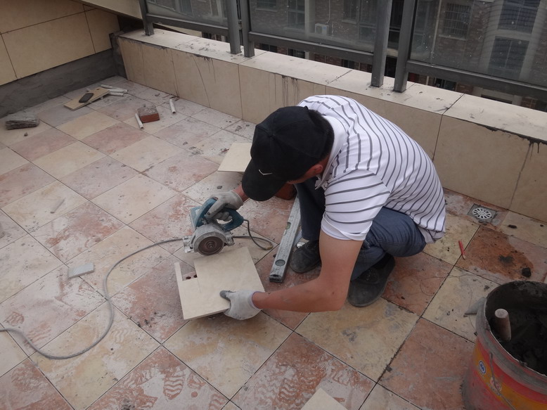 DSC08568.JPG