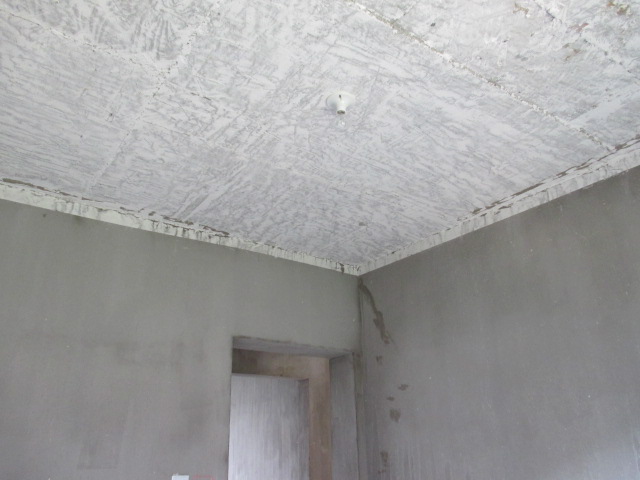 IMG_6900.JPG