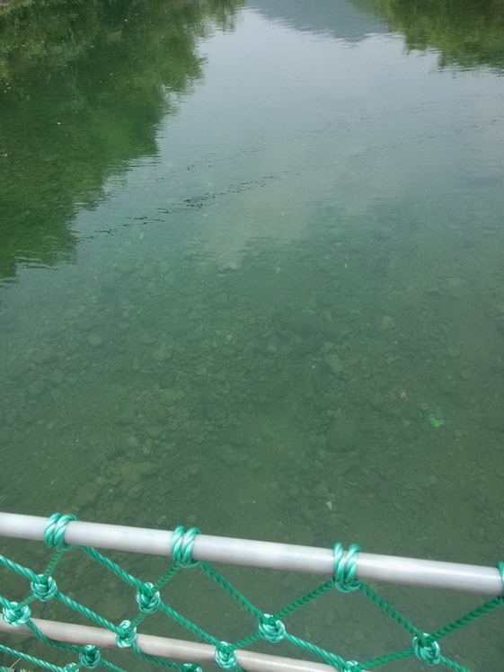 IMG20140709121403.jpg