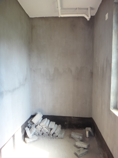 DSC07350.JPG