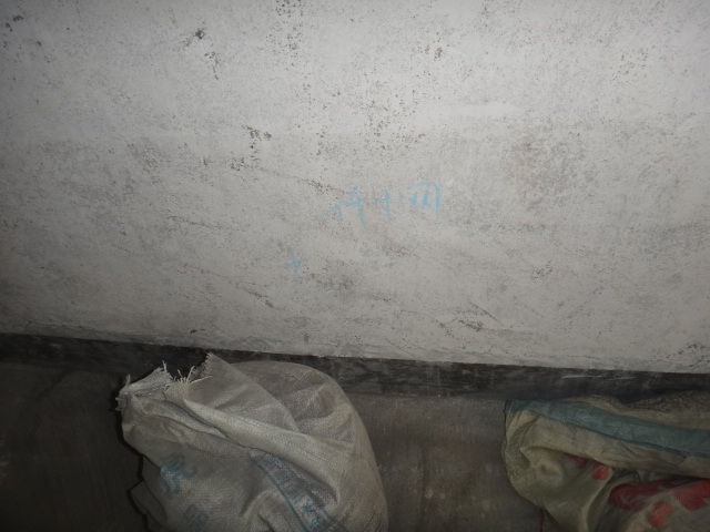 DSC07740.JPG