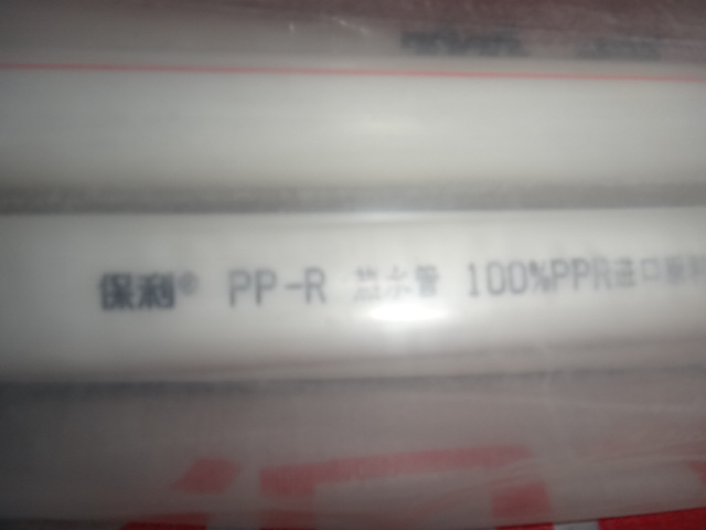 DSC08121.JPG
