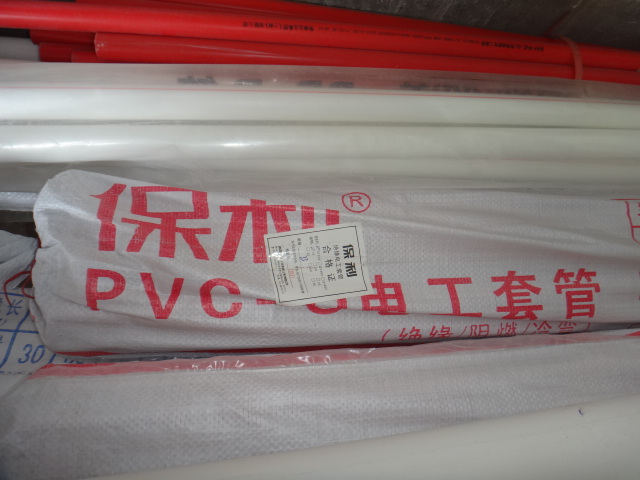 DSC08123.JPG
