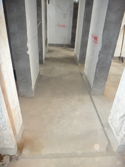 DSC08162.JPG