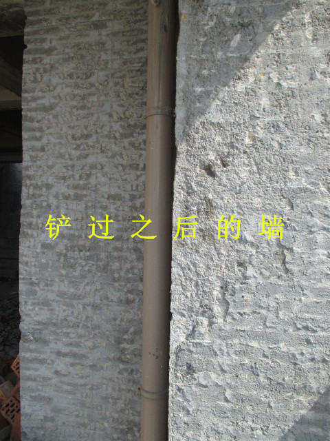 IMG_3887.JPG