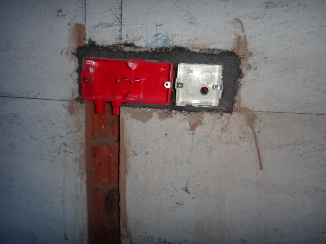 DSC08429.JPG
