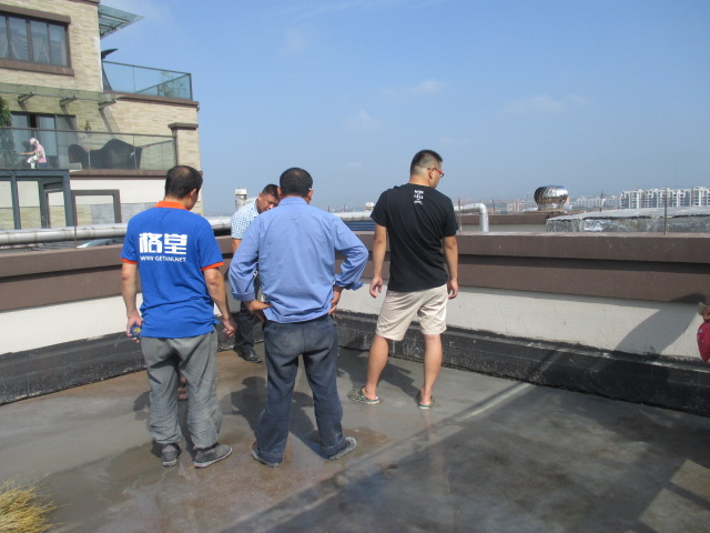 IMG_4173.JPG