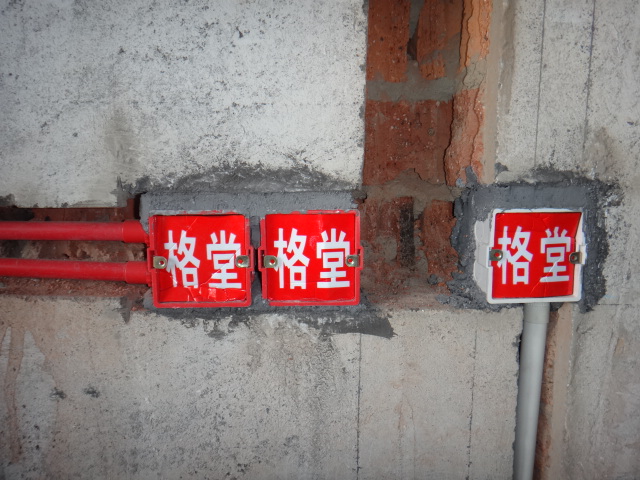 DSC08831.JPG