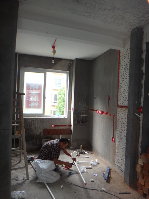DSC08890.JPG