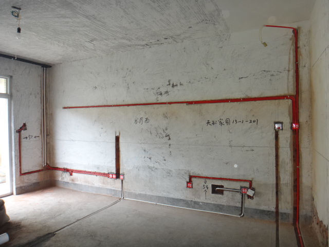 DSC09185.JPG