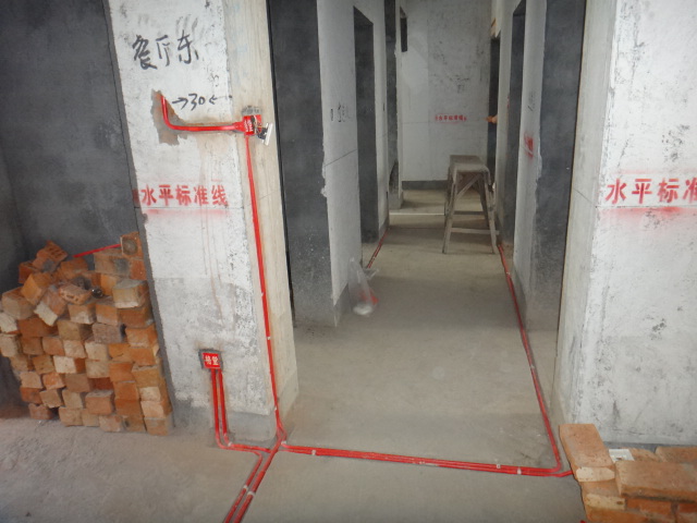 DSC09212.JPG