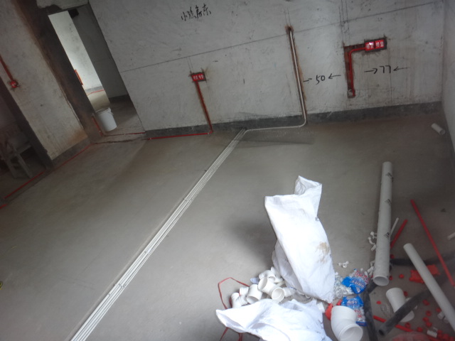 DSC09234.JPG