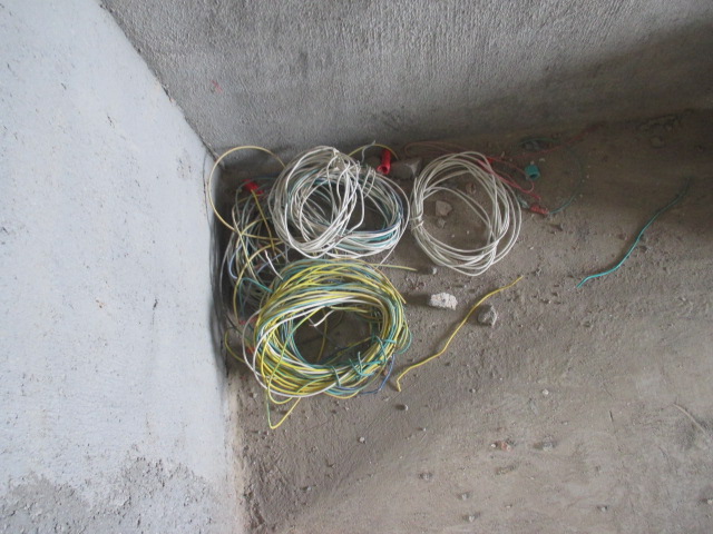 IMG_5964.JPG