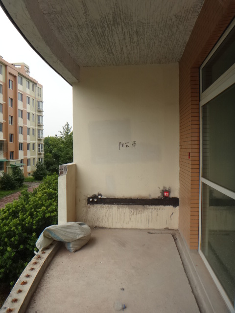 DSC09780.JPG