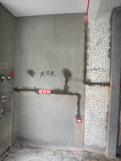 DSC09790.JPG