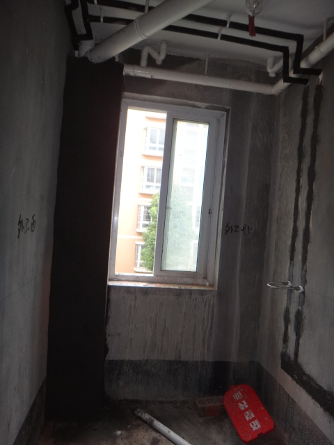 DSC09806.JPG