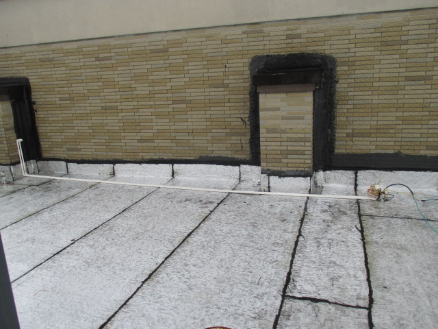 IMG_6216.JPG