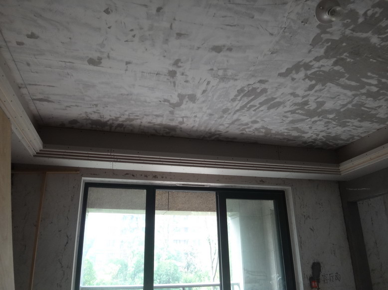 DSC08720.JPG