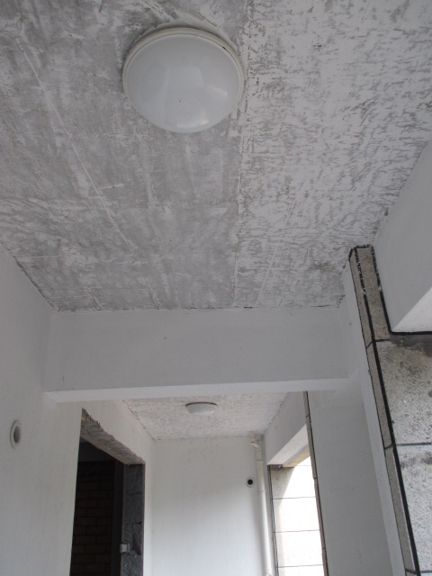 IMG_7161.JPG
