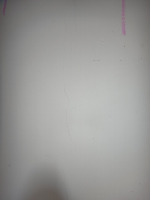 DSC01082.JPG