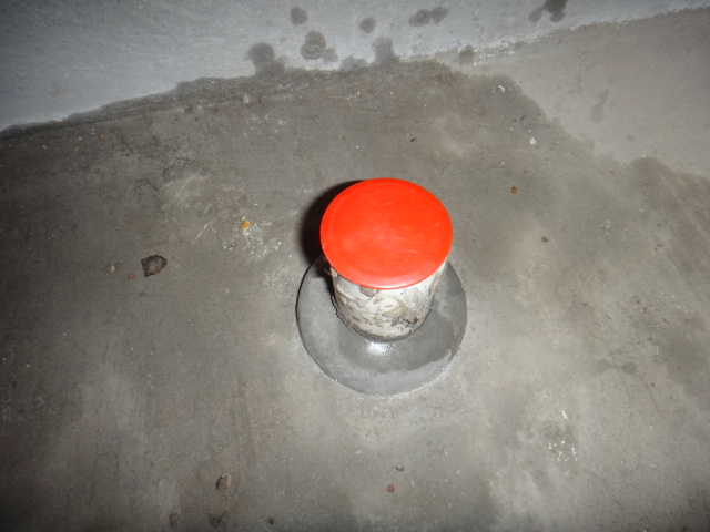 DSC01098.JPG