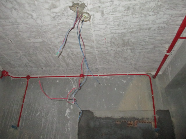 IMG_8636.JPG