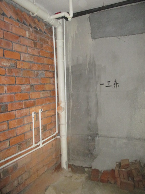 IMG_8654.JPG