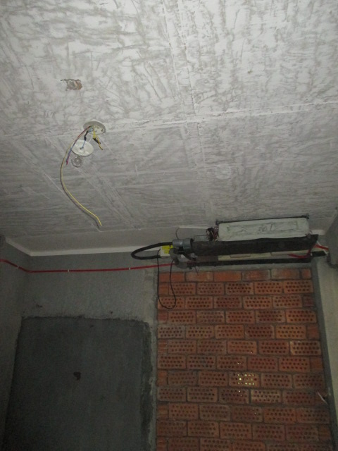 IMG_8664.JPG