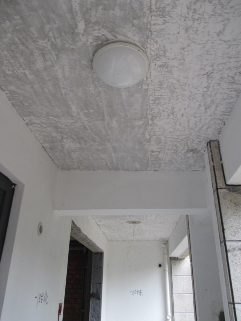 IMG_8683.JPG