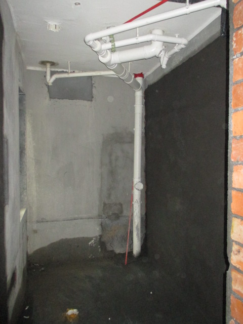 IMG_8977.JPG
